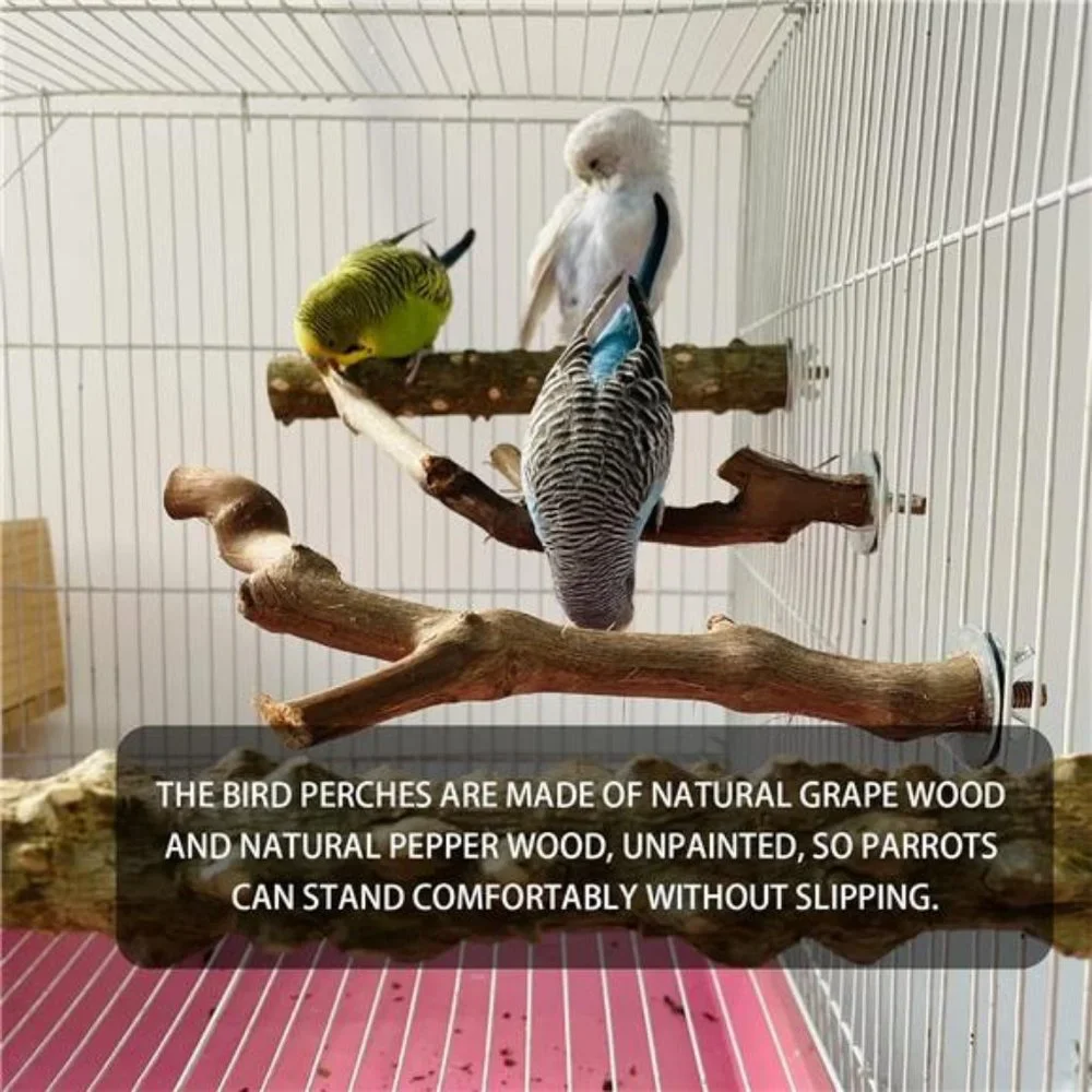 5PCS Bird Perch Stand Natural Wooden Parrot Stand Branch, 3 Grape Wood Perch
